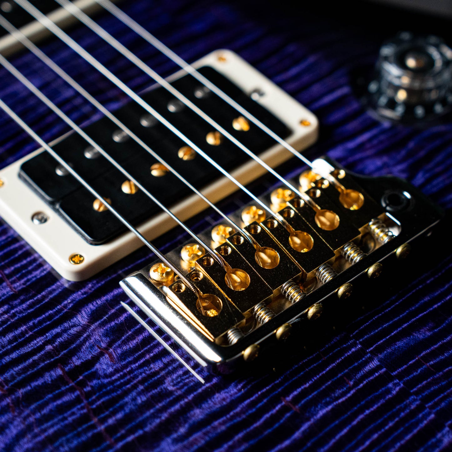 Paul Reed Smith Custom 24 10 Top Purple Mist